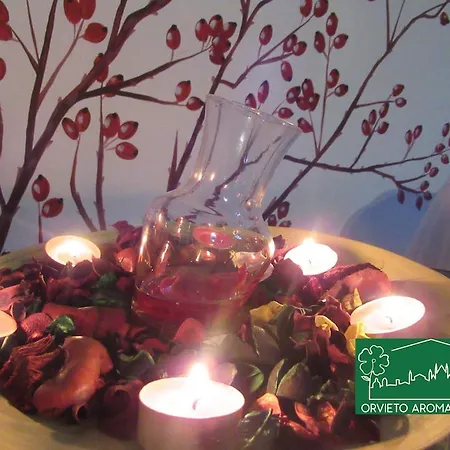 Aroma 1 Guest house *