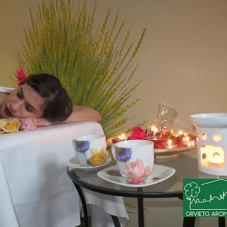 Guest house Aroma 1 *